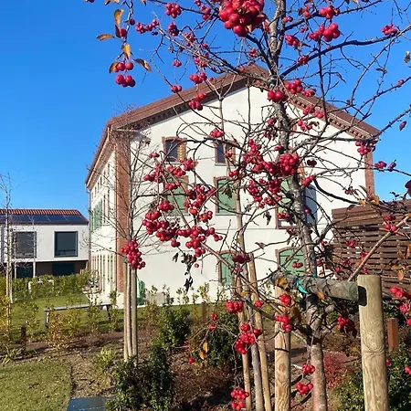 Apartamento Ca Bianca A Peschiera Del Garda Castelnuovo del Garda